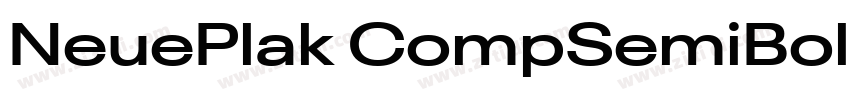NeuePlak CompSemiBol字体转换